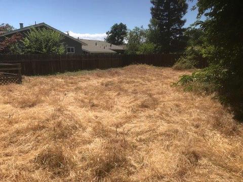1890 E Marshall St, Turlock, CA 95380 photo 17