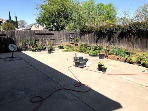 5745 Digger St, Sacramento, CA 95824 photo 10