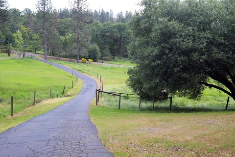7041 Nutmeg Ln, Placerville, CA 95667 photo 11