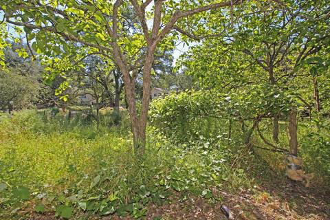 7331 King Rd, Loomis, CA 95650 photo 24