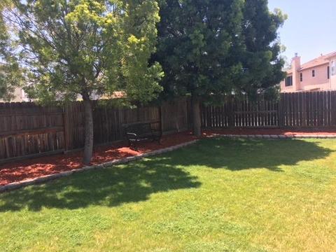 336 Glenbrook Dr, Tracy, CA 95377 photo 33