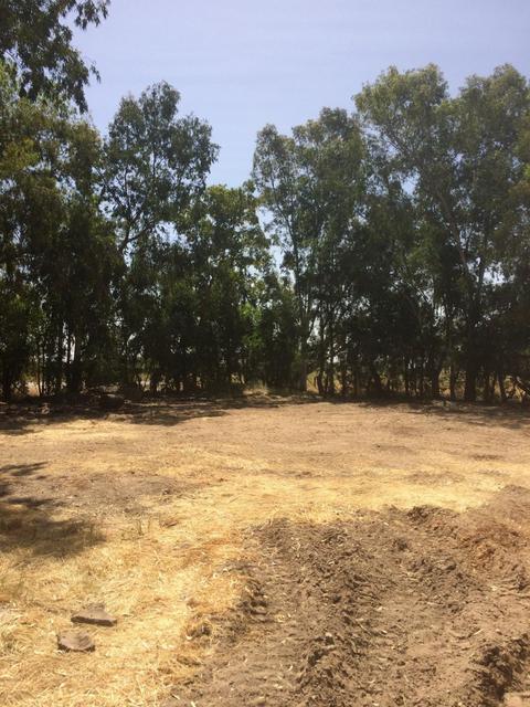 13675 N Jack Tone Rd, Lodi, CA 95240 photo 25