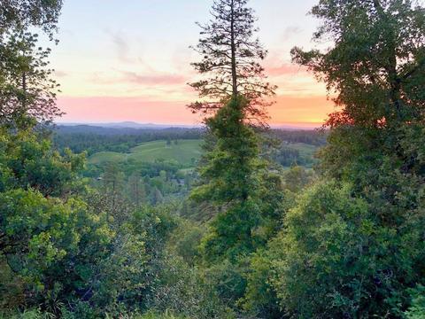 2105 Fall Trail Ct, Placerville, CA 95667 photo 8