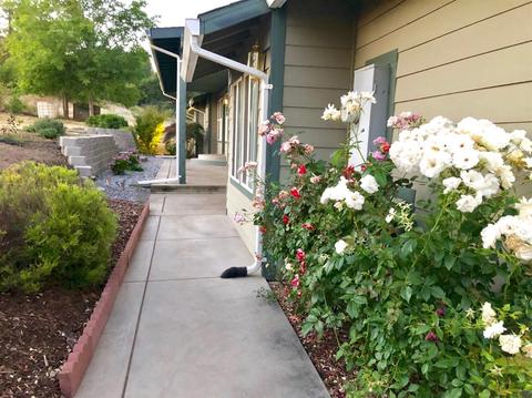 2105 Fall Trail Ct, Placerville, CA 95667 photo 3
