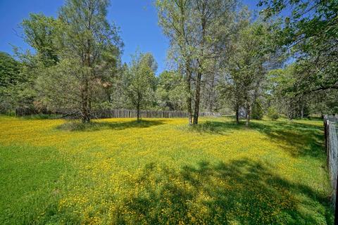 4000 Bluff Rd, Placerville, CA 95667 photo 30