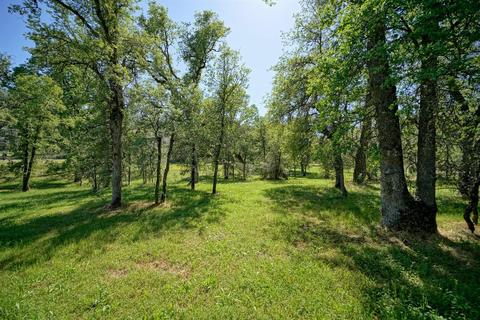 4000 Bluff Rd, Placerville, CA 95667 photo 27
