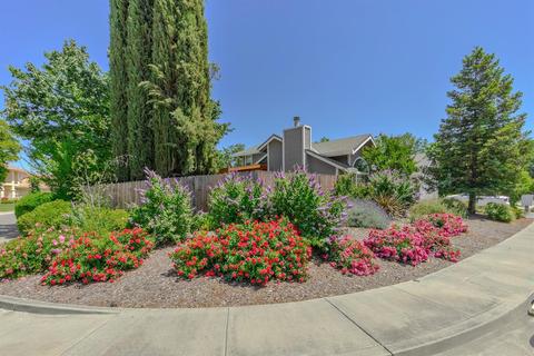 3410 Tanager Ave, Davis, CA 95616 photo 2