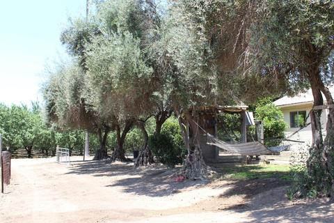 5373 Clinton Rd, Hughson, CA 95326 photo 12
