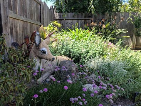 3528 Balfour Ln, Modesto, CA 95357 photo 32