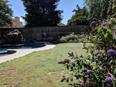 3528 Balfour Ln, Modesto, CA 95357 photo 28