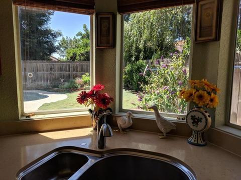 3528 Balfour Ln, Modesto, CA 95357 photo 15