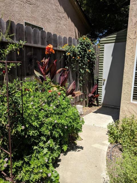 3528 Balfour Ln, Modesto, CA 95357 photo 25