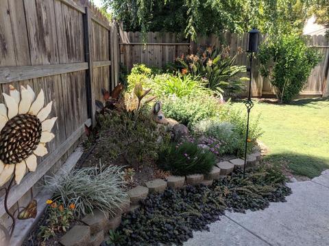 3528 Balfour Ln, Modesto, CA 95357 photo 31
