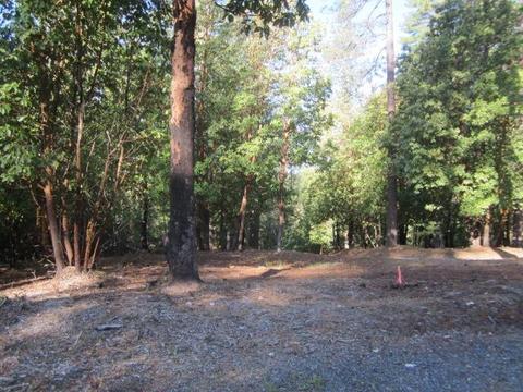 3205 Cedar Ct, Placerville, CA 95667 photo 1