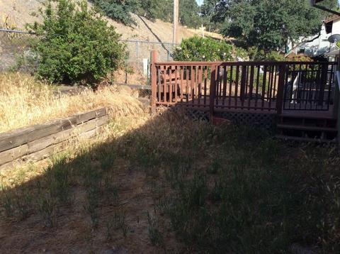 711 Uncle Billy Ct, Copperopolis, CA 95228 photo 10