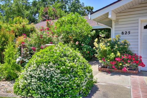 825 Sierra Madre Way, Davis, CA 95618 photo 2