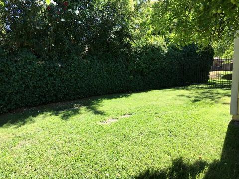 3736 Winston Way, Carmichael, CA 95608 photo 17