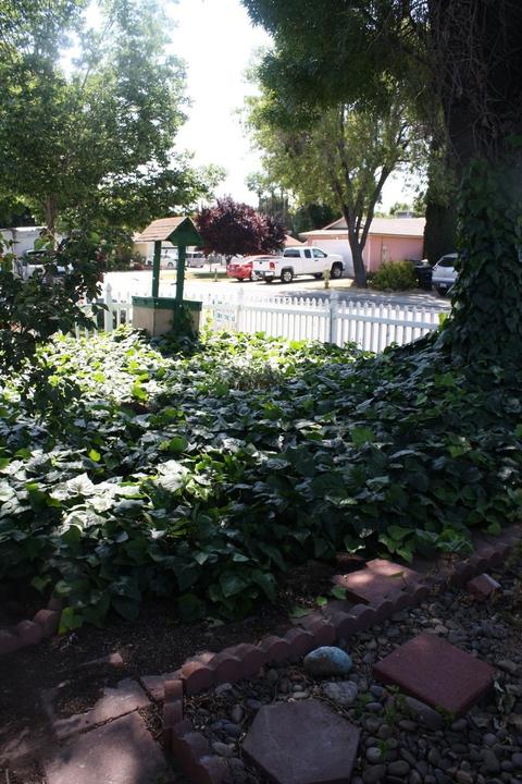 1021 Fish Dr, Modesto, CA 95351 photo 30