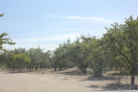 12997 Castle Rd, Manteca, CA 95336 photo 4