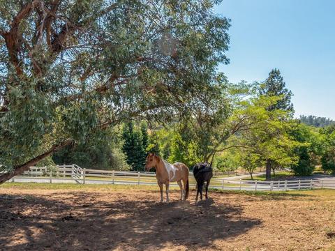 6410 Wagon Loop, Placerville, CA 95667 photo 32