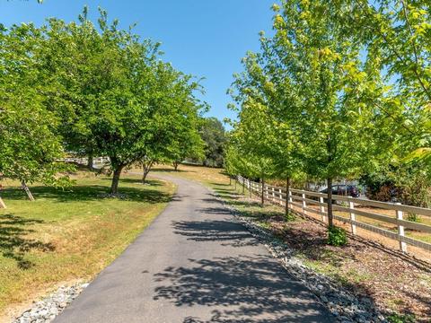 6410 Wagon Loop, Placerville, CA 95667 photo 6