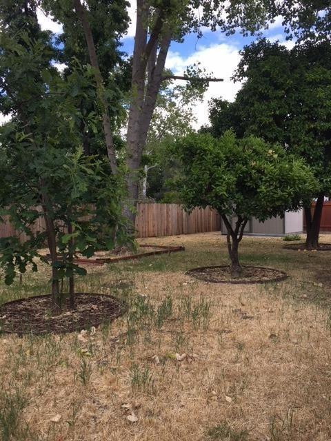6141 Merry Ln, Carmichael, CA 95608 photo 18
