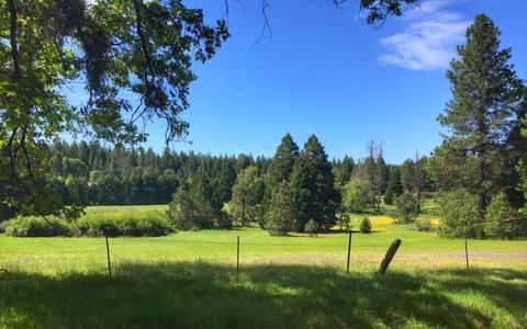 23394 Shake Ridge Rd, Volcano, CA 95689 photo 5