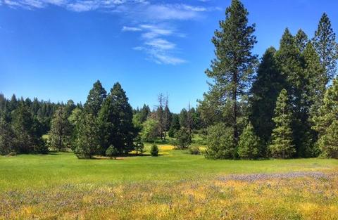 23394 Shake Ridge Rd, Volcano, CA 95689 photo 6