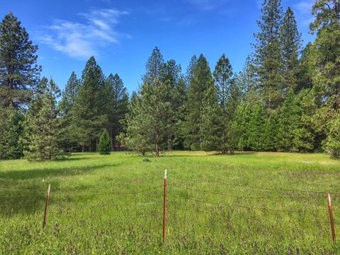 23394 Shake Ridge Rd, Volcano, CA 95689 photo 7