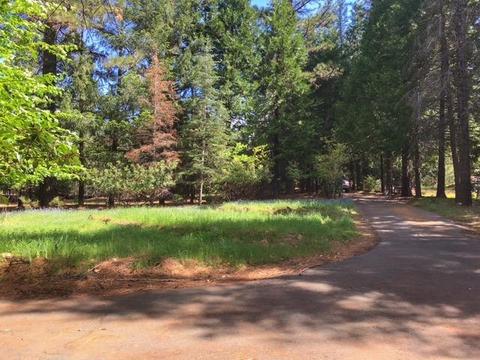 23394 Shake Ridge Rd, Volcano, CA 95689 photo 3