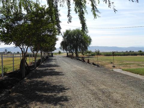 2522 Davis Rd, Williams, CA 95987 photo 7