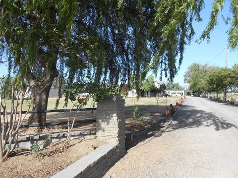 2522 Davis Rd, Williams, CA 95987 photo 8