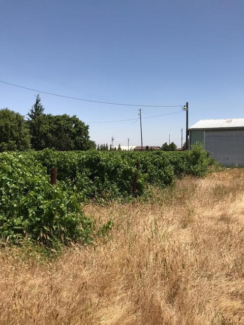 3434 W Sargent Rd, Lodi, CA 95242 photo 3