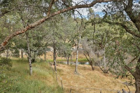 1640 Lotus Rd, Placerville, CA 95667 photo 35
