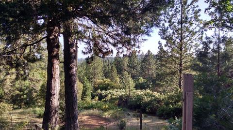 16488 Lower Colfax Rd, Grass Valley, CA 95945 photo 7