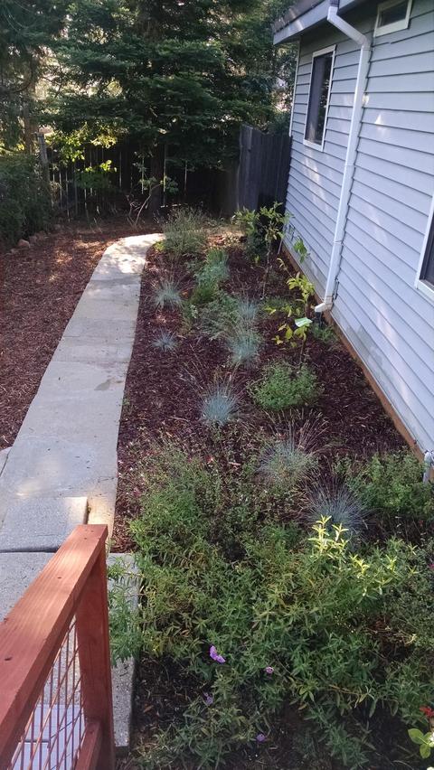 16488 Lower Colfax Rd, Grass Valley, CA 95945 photo 4