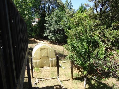 12440 Eldel Rd, Pine Grove, CA 95665 photo 12