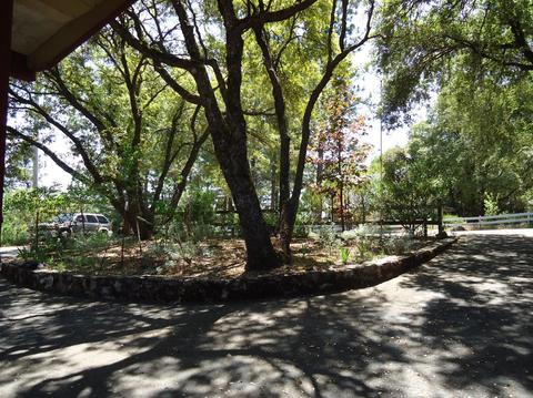 12440 Eldel Rd, Pine Grove, CA 95665 photo 13
