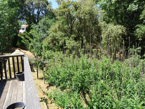 12440 Eldel Rd, Pine Grove, CA 95665 photo 10