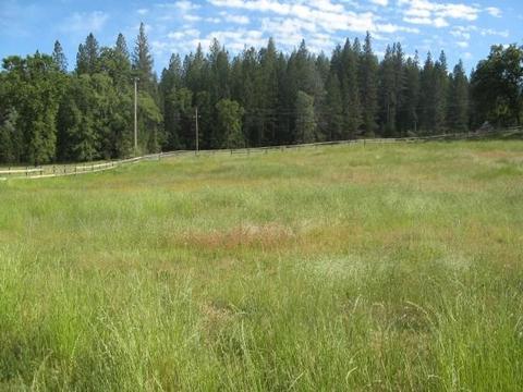 4825 Chrome Ridge Rd, Placerville, CA 95667 photo 28