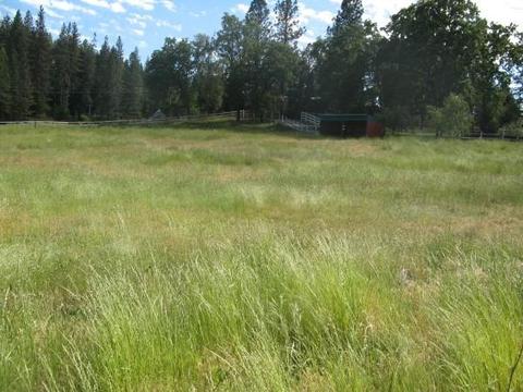 4825 Chrome Ridge Rd, Placerville, CA 95667 photo 29