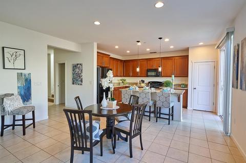 18321 Spence Ave, Lathrop, CA 95330 photo 18