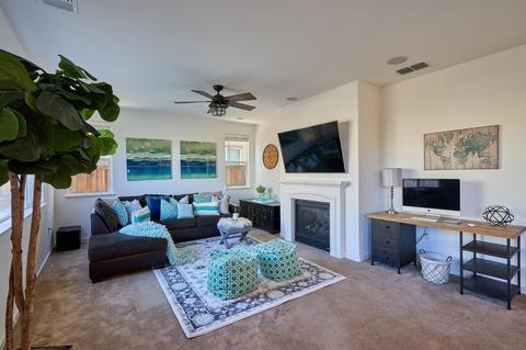 18321 Spence Ave, Lathrop, CA 95330 photo 14