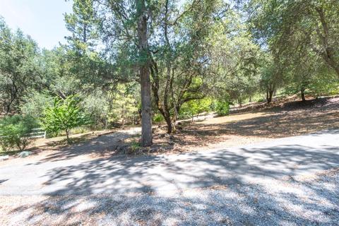 2521 Bird Haven Ct, Cool, CA 95614 photo 25