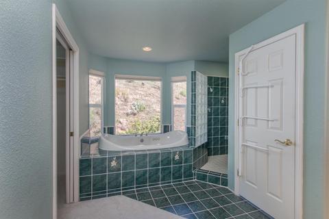 2521 Bird Haven Ct, Cool, CA 95614 photo 20
