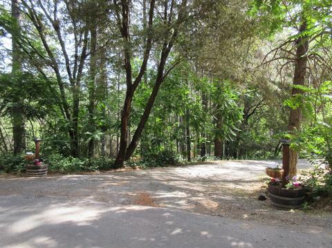 1050 Pinecroft Rd, Colfax, CA 95713 photo 25