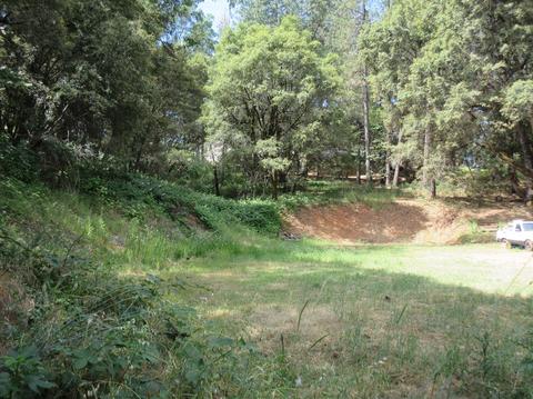 1050 Pinecroft Rd, Colfax, CA 95713 photo 23