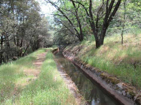 1050 Pinecroft Rd, Colfax, CA 95713 photo 28
