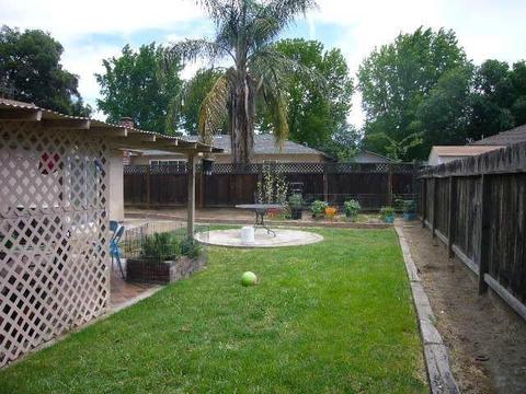 3216 Cato Ct, Modesto, CA 95354 photo 12