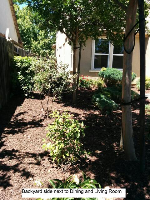 204 Tissot Dr, Patterson, CA 95363 photo 25